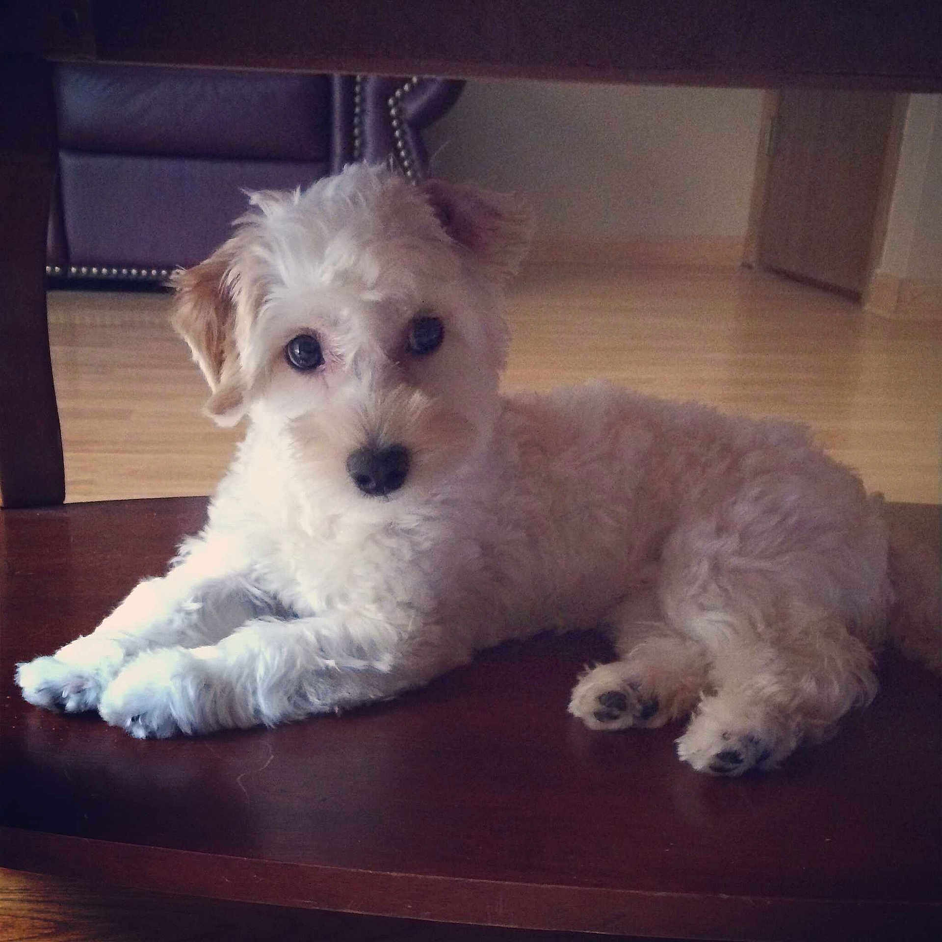 Jorgie joined the competition — help win amazing prizes!