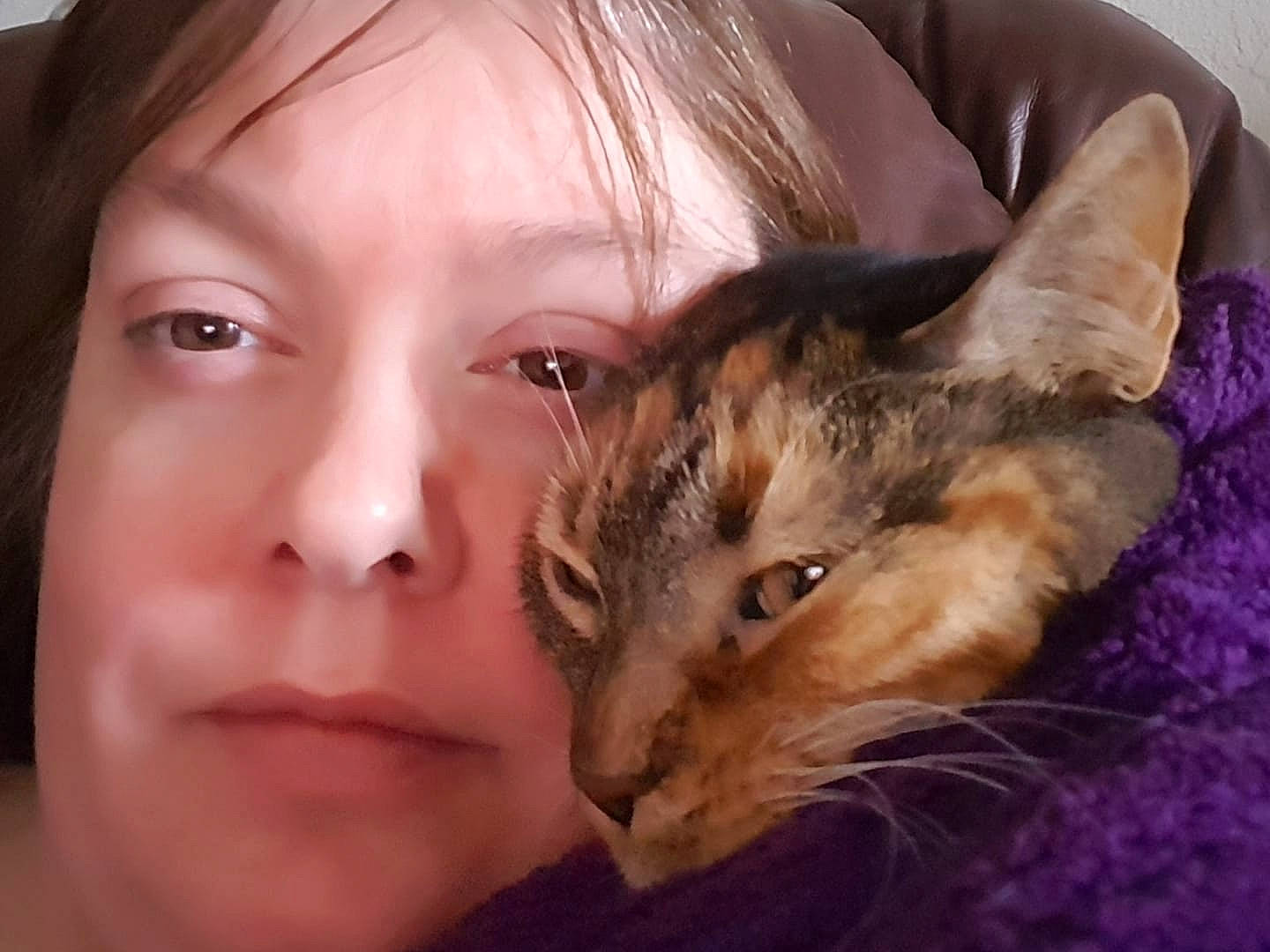 Sadie Sue is registered to the contest to win money with this photo: asian, carnivore, cat, close_up, ear, european_shorthair, eye, face, felidae, fur, head, iris, mammal, nose, person, skin, small_to_medium_sized_cats, snout, tabby_cat, vertebrate