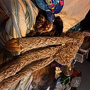 Gandalf is registered to the contest to win money with this photo: cat, blanket, stuffed_toy, indoor, sleeping, cozy, soft_toy, furniture, pet, fur, resting, domestic_animal, knitted_blanket, plush, bed, clutter, dim_light, warm_light, comfort, relaxed
