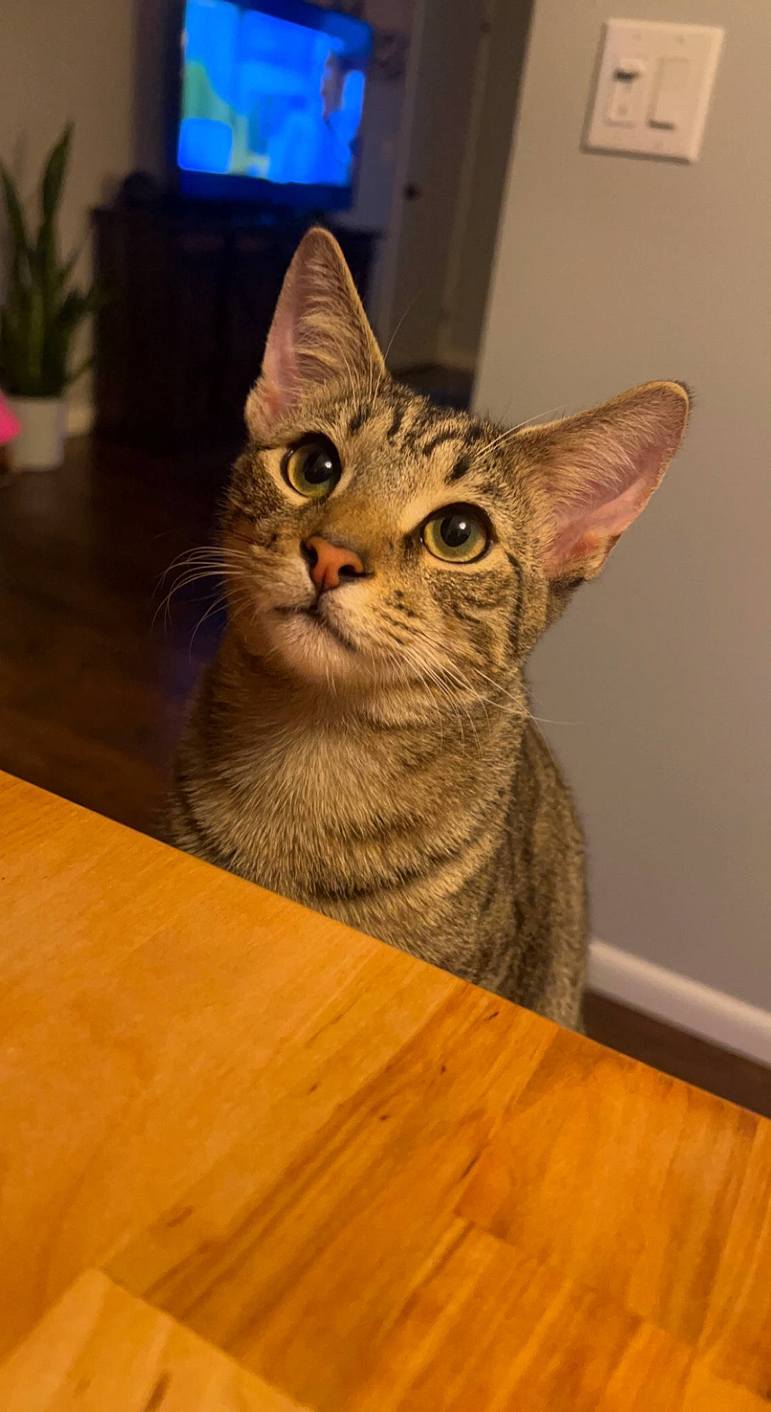 Jack