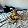 animal, bed, blanket, cat, collar, cozy, curious, feline, fur, ginger_cat, indoor, orca_whale, paws, pet, relaxed, resting, stuffed_animal, tag, wall, whiskers