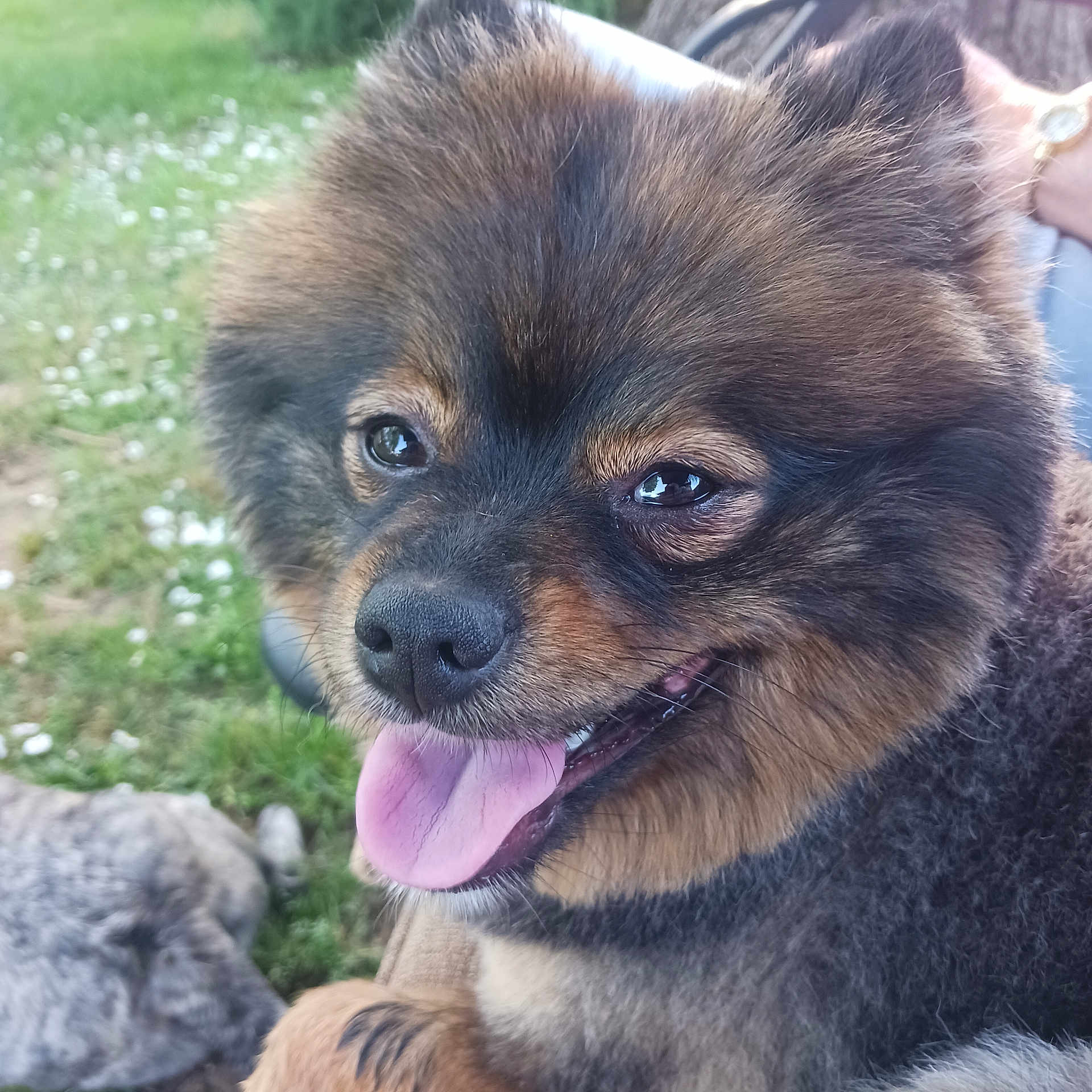 Delilah