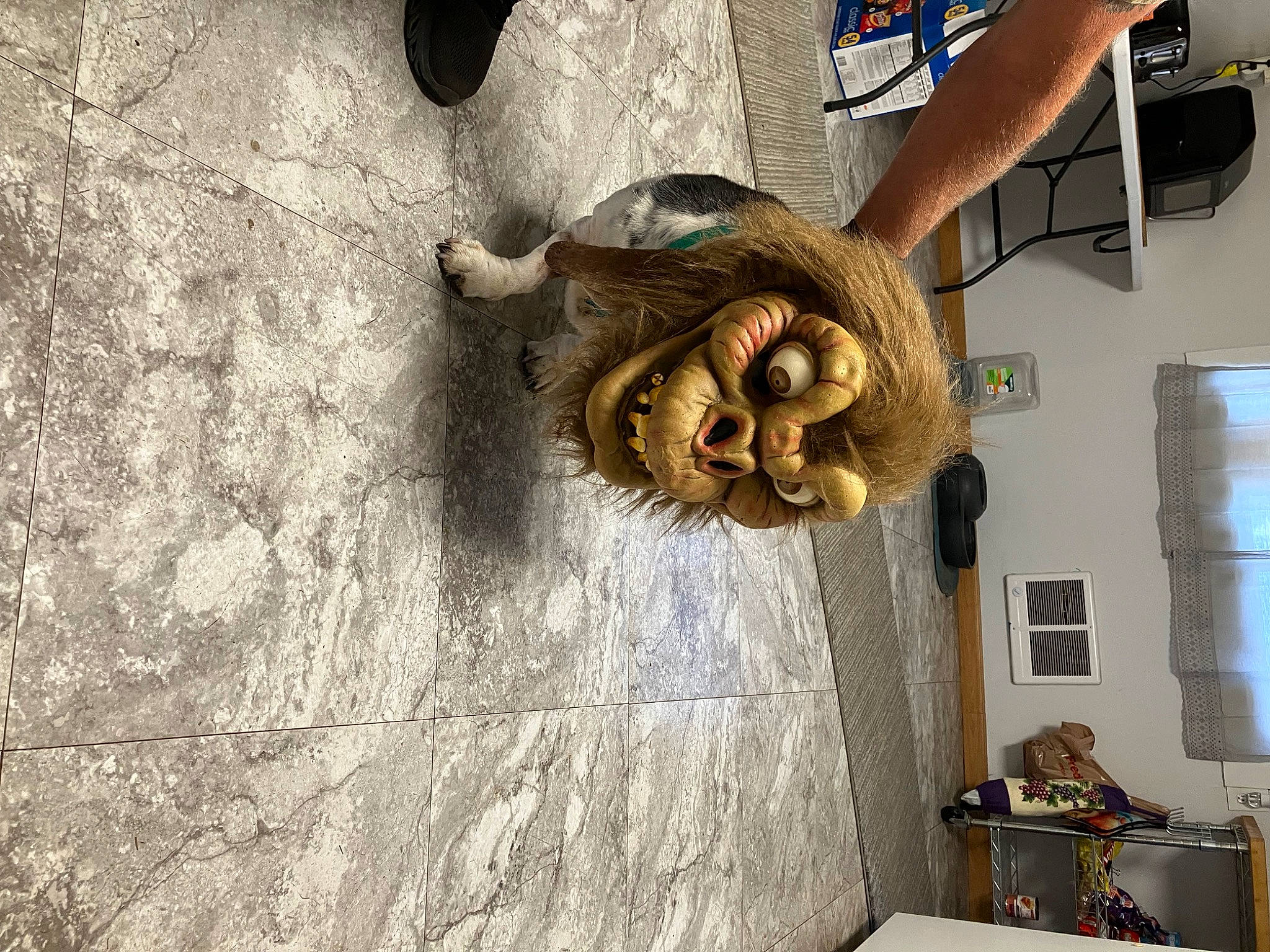 Nina is registered to the contest to win money with this photo: art, auto_part, chainsaw_carving, concrete, flooring, fur, metal, picture_frame, sculpture, snout, visual_arts, wood, working_animal