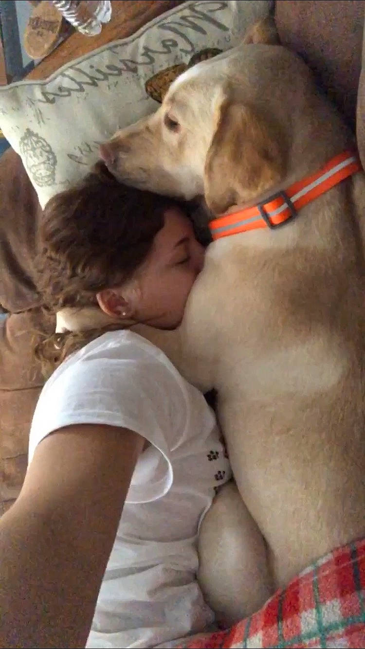 Tallulah joined the competition — help win amazing prizes! abdomen, canidae, carnivore, chest, collar, comfort, companion_dog, dog, dog_breed, dog_collar, dog_supply, fawn, gesture, human_leg, pillow, plaid, snout, tartan, thigh, working_animal