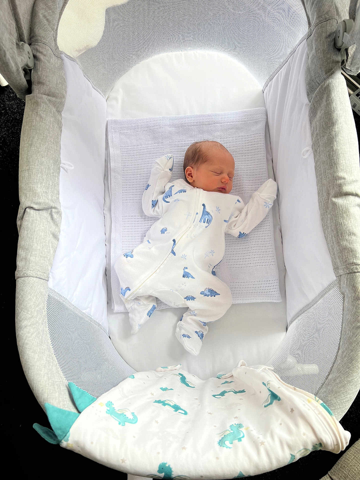Arlo joined the competition — help win amazing prizes! newborn, baby, sleeping, onesie, dinosaur, bassinet, blanket, white, grey, cozy, infant, cute, bed, soft, child, peaceful, resting, fabric, pajamas, indoors