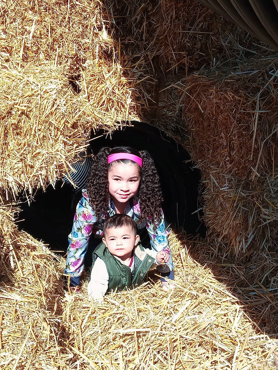 Nevaeh is registered to the contest to win money with this photo: child, fawn, fun, grass, grass_family, happy, hay, headwear, joy, people_in_nature, person, photography, plant, smile, straw, toddler, tree