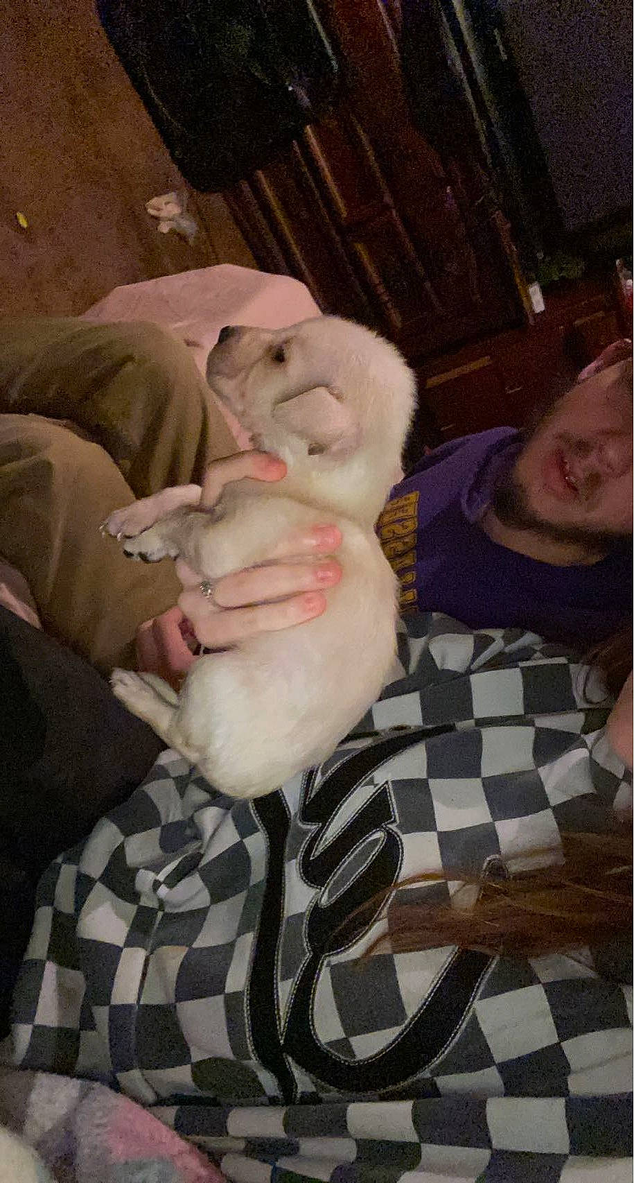 Ryder joined the competition — help win amazing prizes! canidae, comfort, companion_dog, dog_breed, ear, fawn, felidae, finger, fur, gesture, jaw, mouth, nail, pattern, plaid, small_to_medium_sized_cats, sporting_group, tartan, thumb, wrinkle