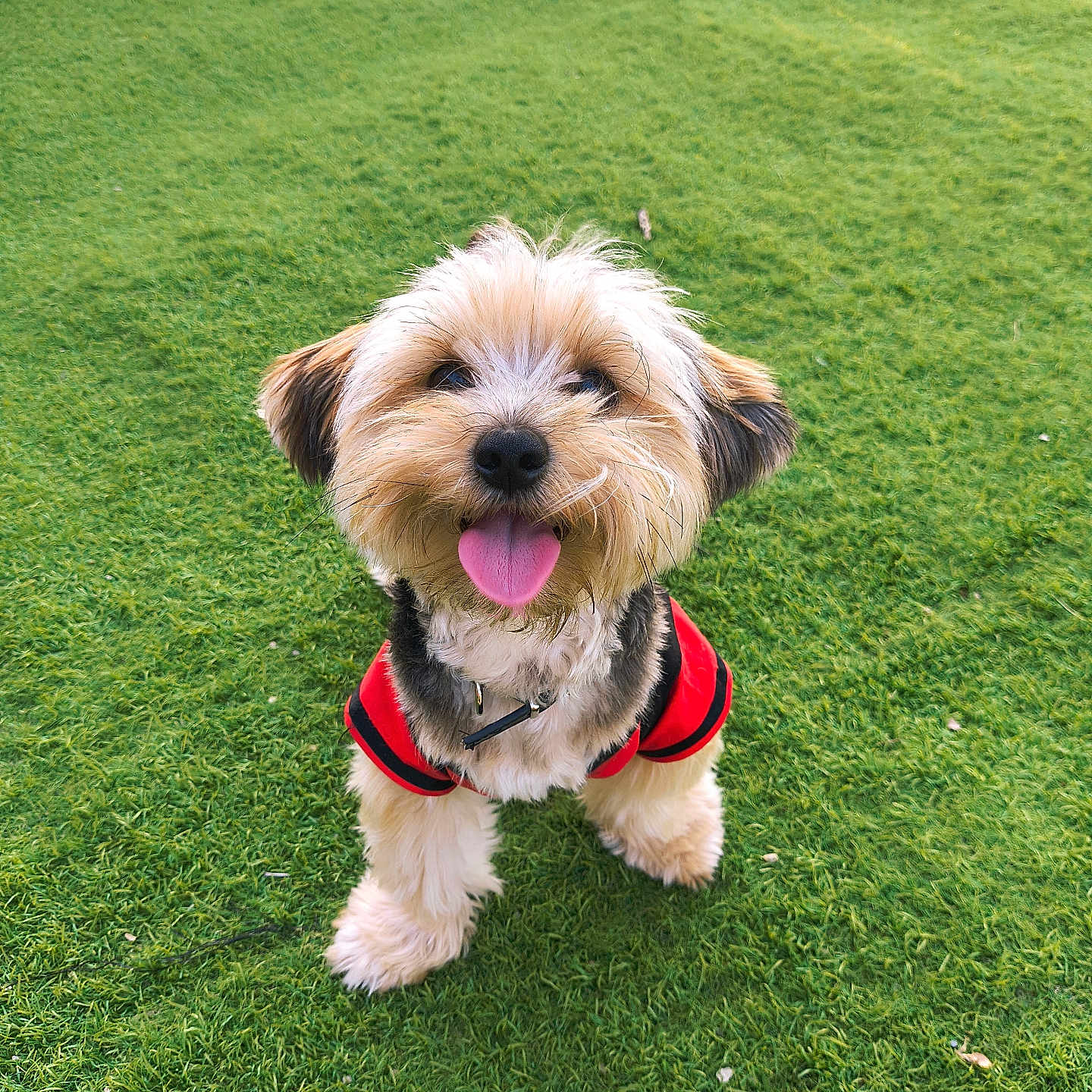 Max