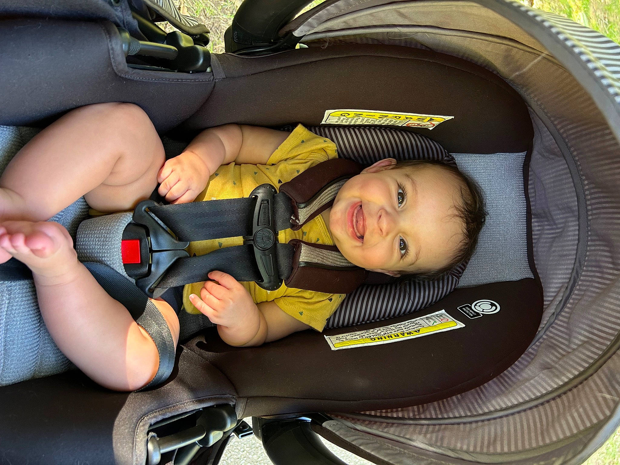 Stephen is registered to the contest to win money with this photo: auto_part, baby, baby_carriage, baby_in_car_seat, baby_products, baby_safety, baby_toddler_clothing, car_seat, child, comfort, grass, joy, lap, person, product, service, sitting, smile, thigh, toddler