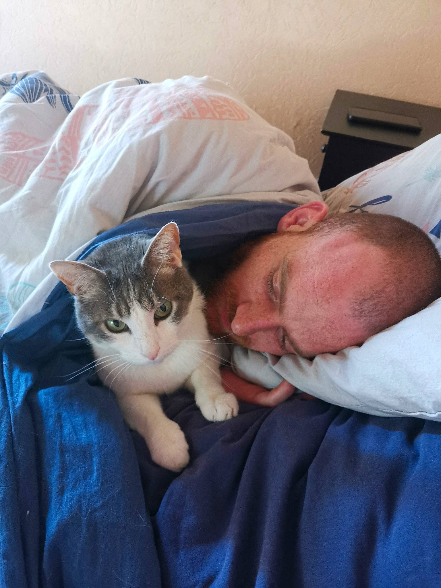 Diesel participe au concours pour gagner de l'argent avec cette photo : asian, carnivore, cat, comfort, domestic_short_haired_cat, ear, european_shorthair, felidae, fur, kitten, nap, polydactyl_cat, sleep, small_to_medium_sized_cats, whiskers