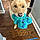 Maxx