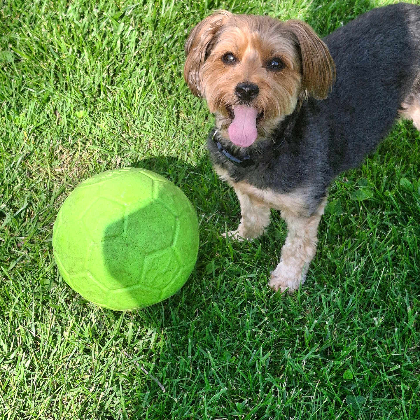 Remy