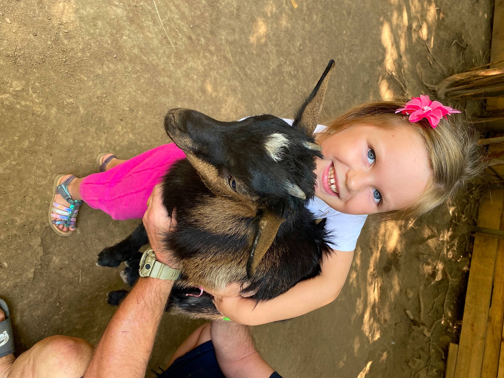 Léana participe au concours pour gagner de l'argent avec cette photo : baby, carnivore, child, companion_dog, dog, dog_breed, fawn, fun, fur, grass, happy, human_leg, joy, leisure, livestock, person, sitting, skin, smile, sporting_group