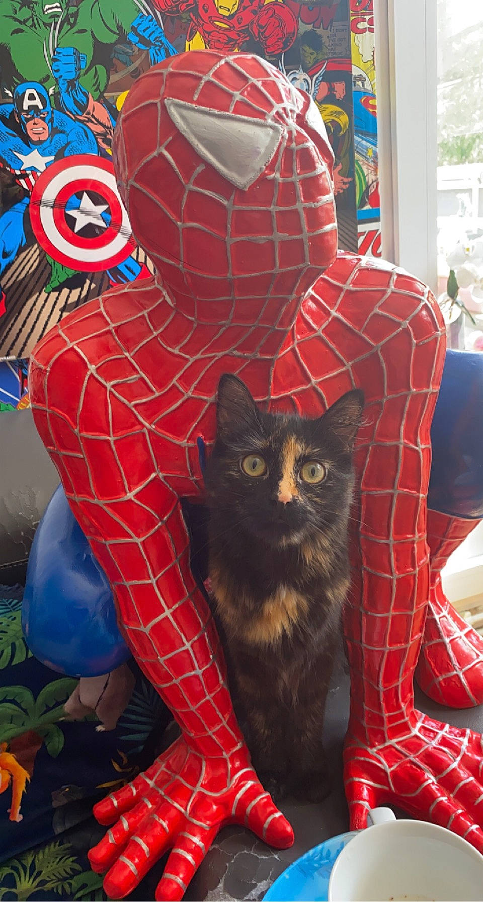 Minuit participe au concours pour gagner de l'argent avec cette photo : art, carnivore, cat, chair, fawn, felidae, leaf, mammal, organism, pattern, photograph, plant, red, small_to_medium_sized_cats, snapshot, spider_man, tail, textile, vertebrate, whiskers