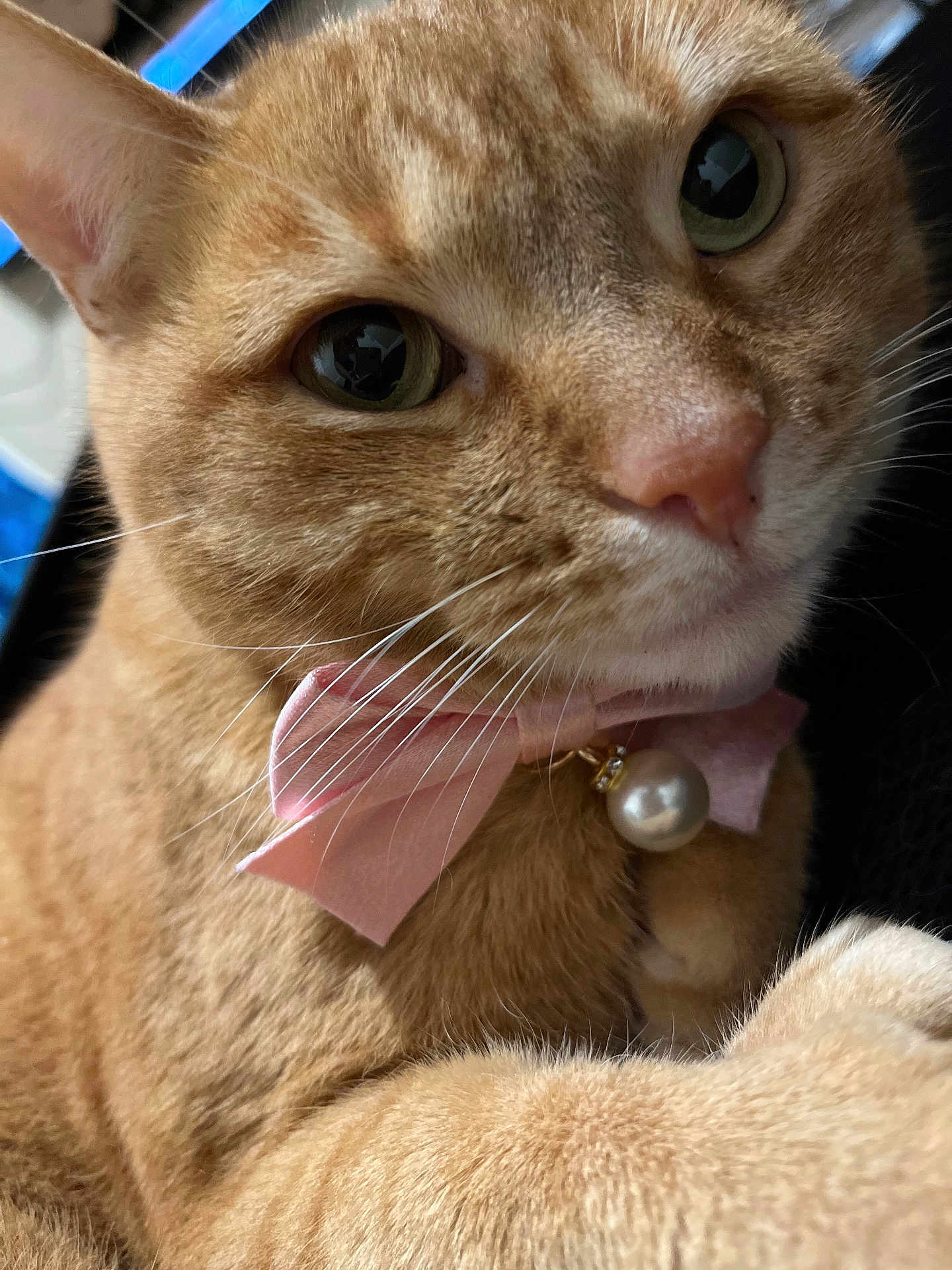 Fiona