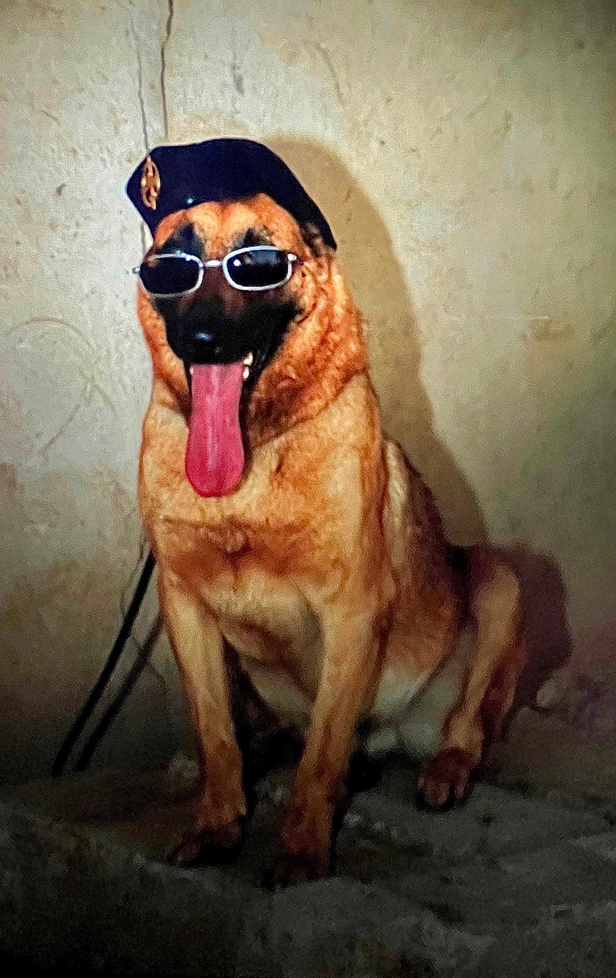 Aldo