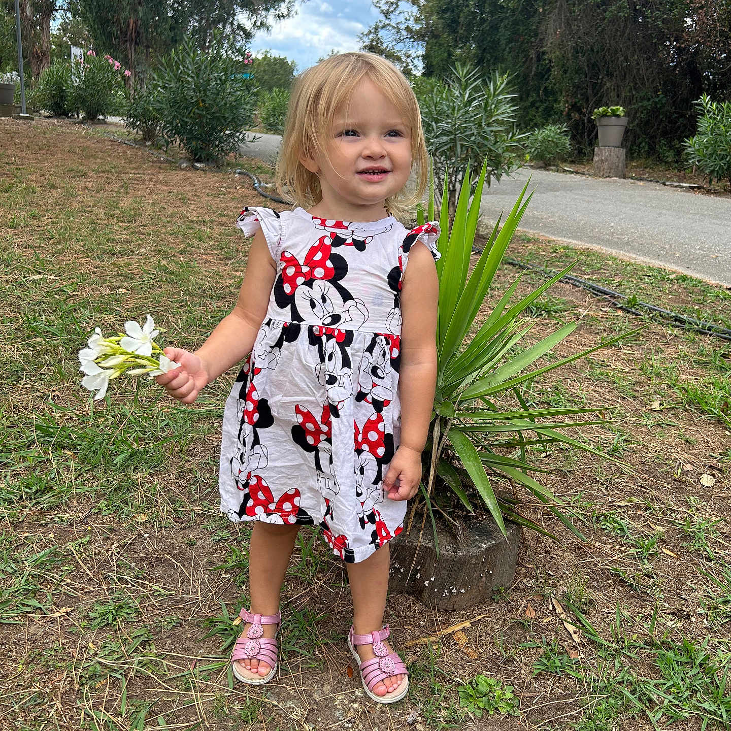 Nélya participe au concours pour gagner de l'argent avec cette photo : child, clothing, dress, face, female, flower, footwear, girl, grass, head, herbal, herbs, person, petal, photography, plant, portrait, sandal, soil, summer