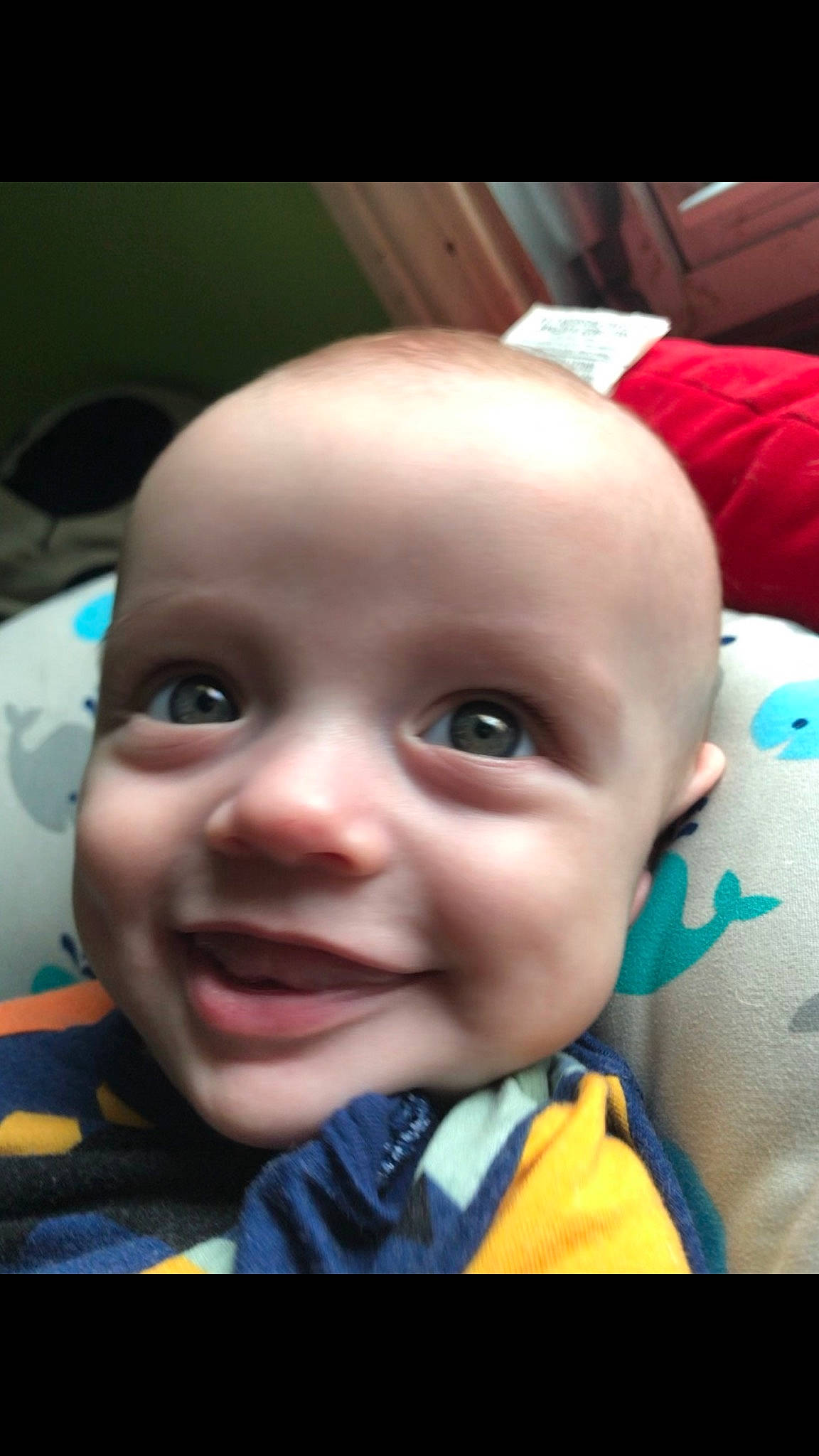 Zachary is registered to the contest to win money with this photo: baby, baby_toddler_clothing, cheek, child, electric_blue, eyebrow, eyelash, flash_photography, forehead, fun, happy, joy, lip, mouth, nose, person, photograph, product, skin, smile