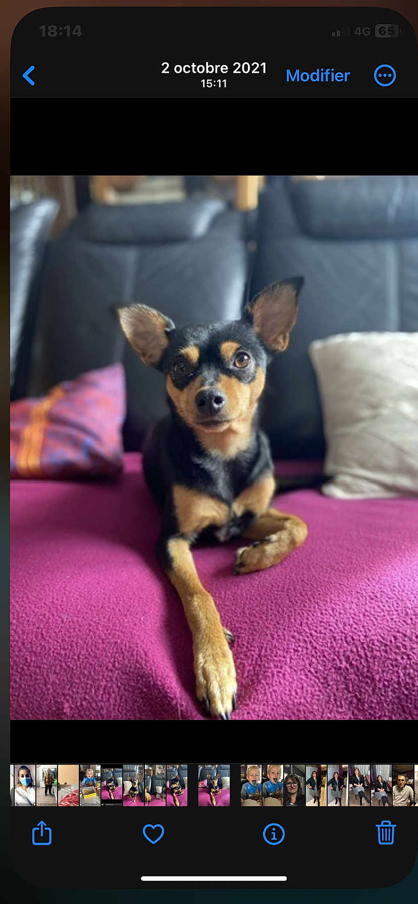 Pixelle