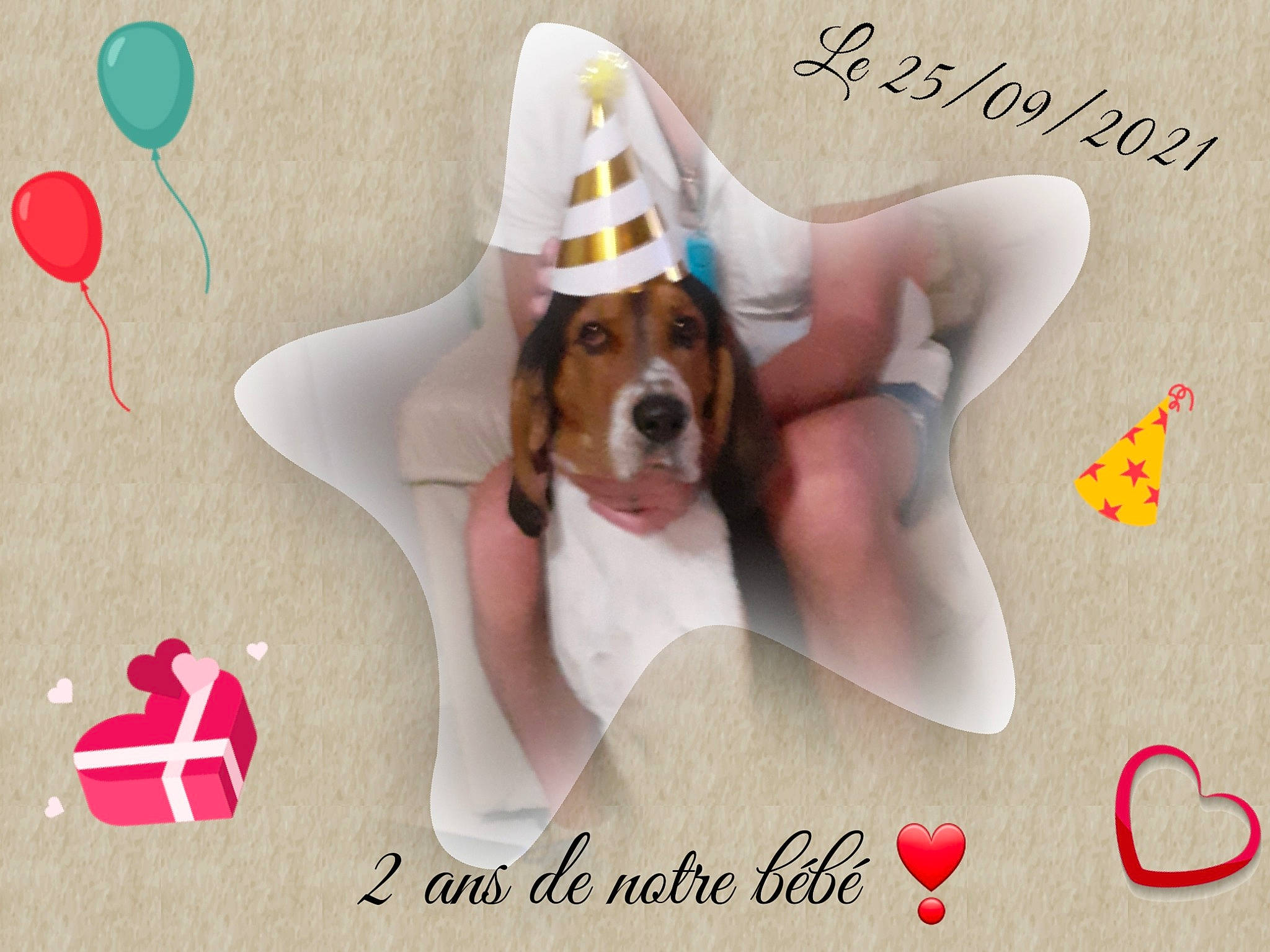 Prospère participe au concours pour gagner de l'argent avec cette photo : canidae, carnivore, circle, companion_dog, dog, dog_breed, dog_supply, fawn, fictional_character, font, graphics, handwriting, happy, hound, illustration, pattern, paw, pet_supply, scent_hound, sporting_group