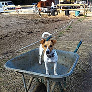 Gala participe au concours pour gagner de l'argent avec cette photo :