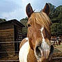 Enzo participe au concours pour gagner de l'argent avec cette photo :