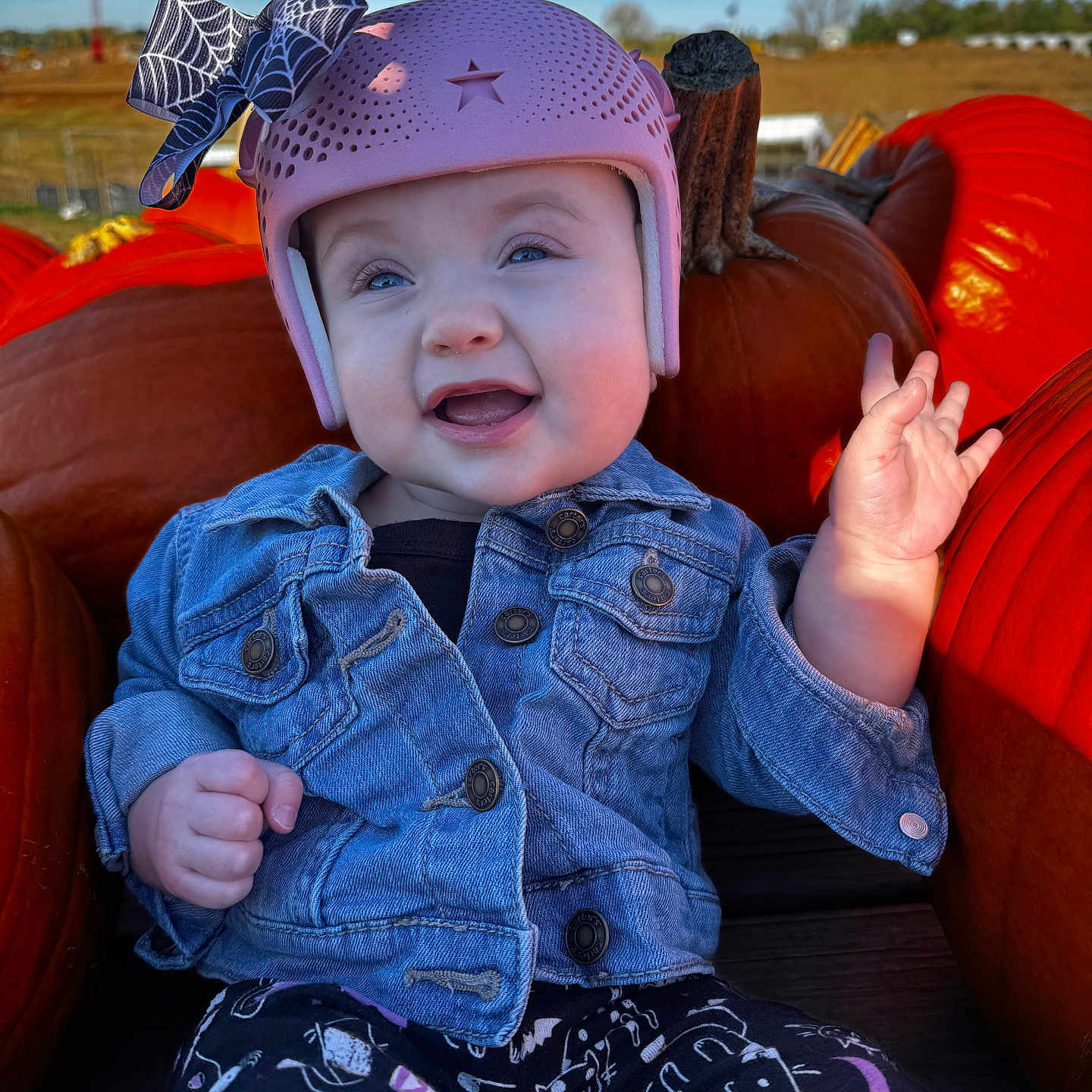 Raven