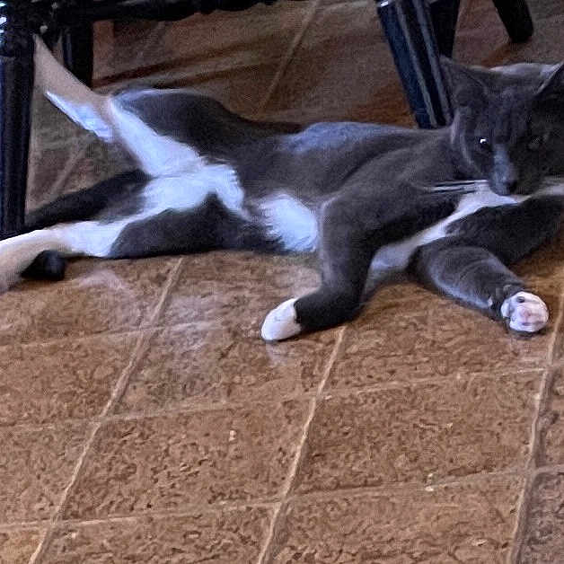 Jerry