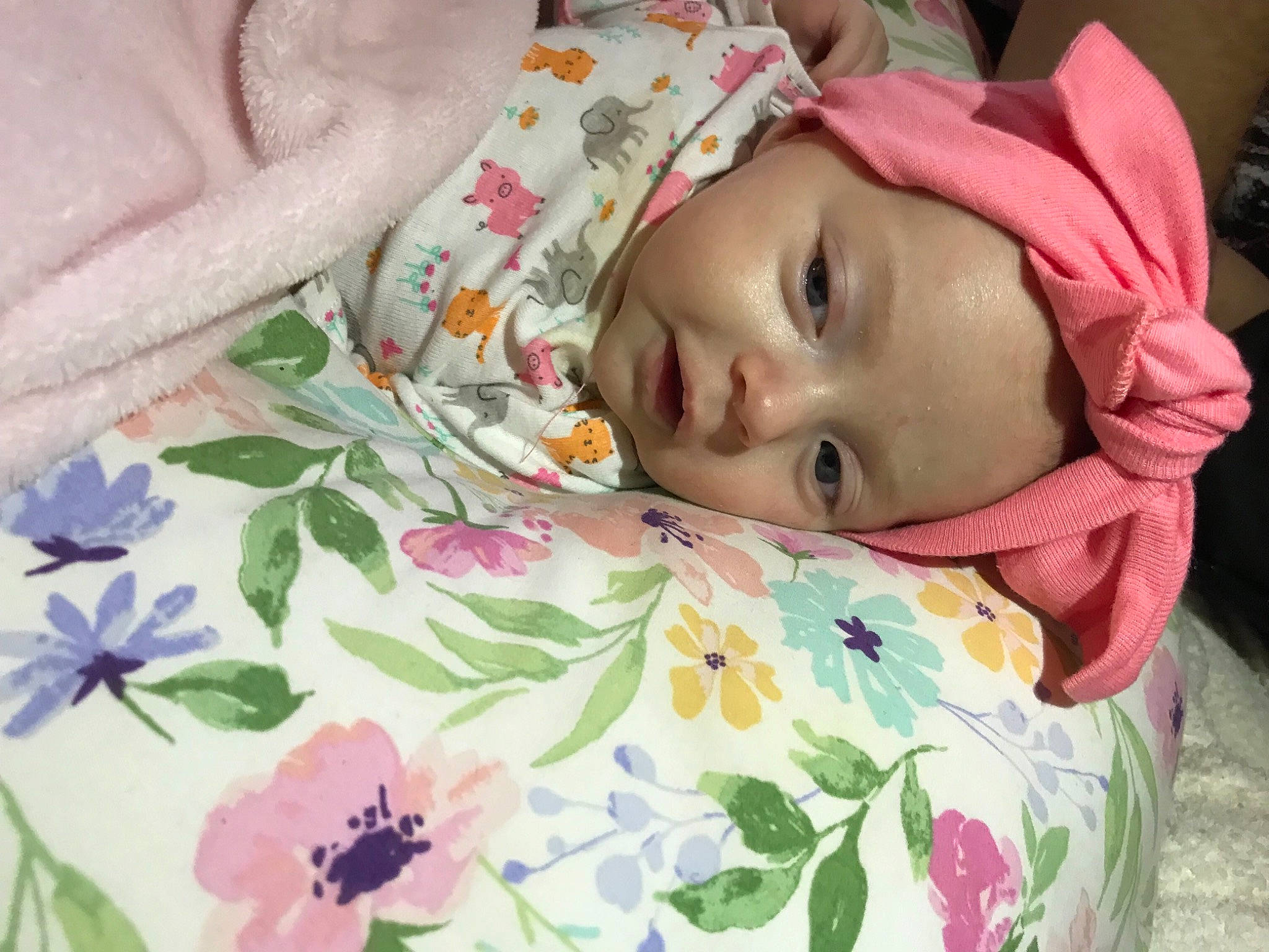 Elliana joined the competition — help win amazing prizes! baby, baby_products, baby_toddler_clothing, cheek, child, comfort, eyelash, flower, headwear, human_body, iris, linens, pattern, person, petal, pink, plant, skin, sleeve, textile