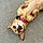 Mable