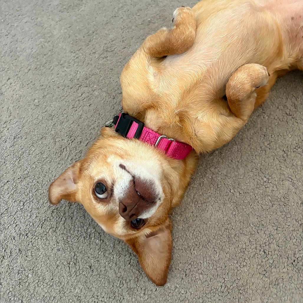 Mable