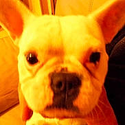 Hermione participe au concours pour gagner de l'argent avec cette photo :