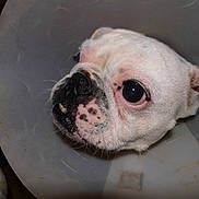 Arobase participe au concours pour gagner de l'argent avec cette photo :