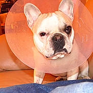 Hulk participe au concours pour gagner de l'argent avec cette photo :