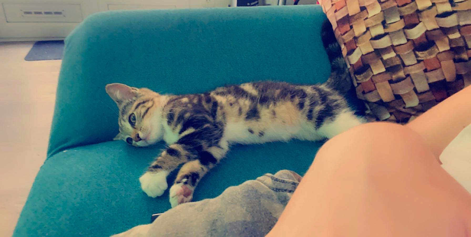 Zazu