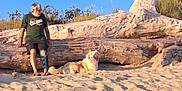 R'B a rejoint le concours — aidez-le/la à gagner de superbes lots ! animal, boy, canine, child, clothing, dog, driftwood, footwear, husky, male, nature, outdoors, person, pet, rock, shoe, shorts, soil, t_shirt, wood