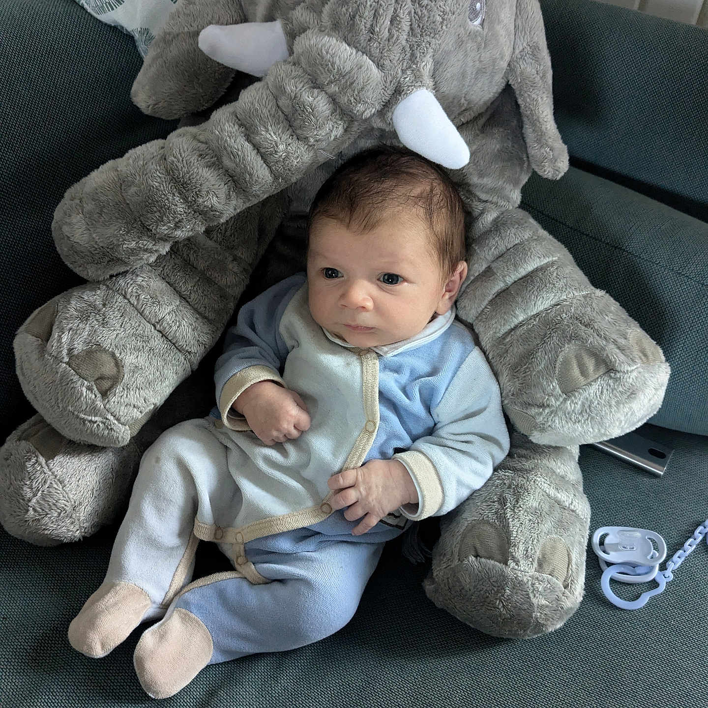Nino a rejoint le concours — aidez-le/la à gagner de superbes lots ! baby, bodypart, chair, clothing, couch, cushion, face, finger, footwear, furniture, hand, head, homedecor, pants, person, photography, portrait, sitting, teddybear, toy