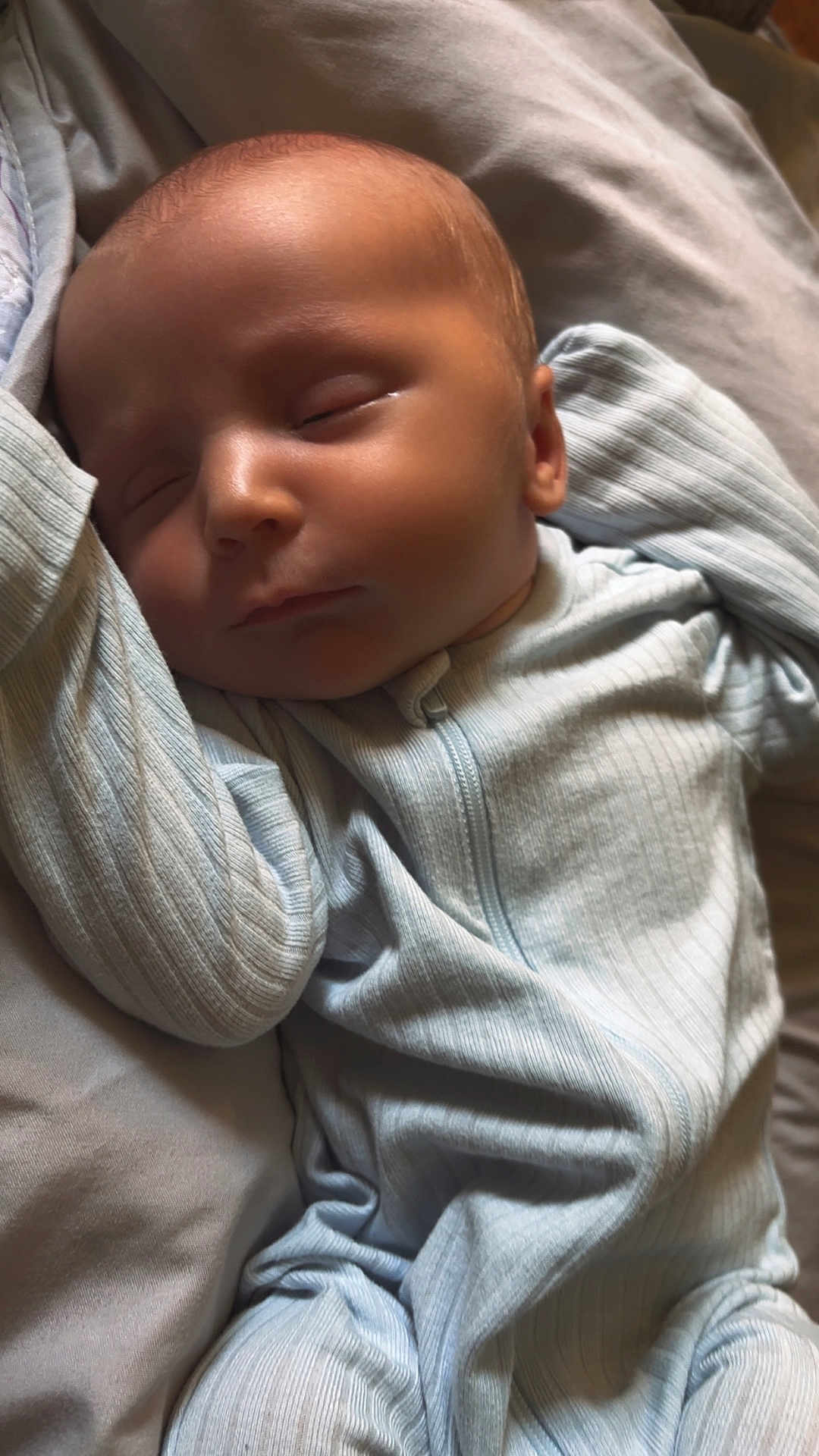 Stetson