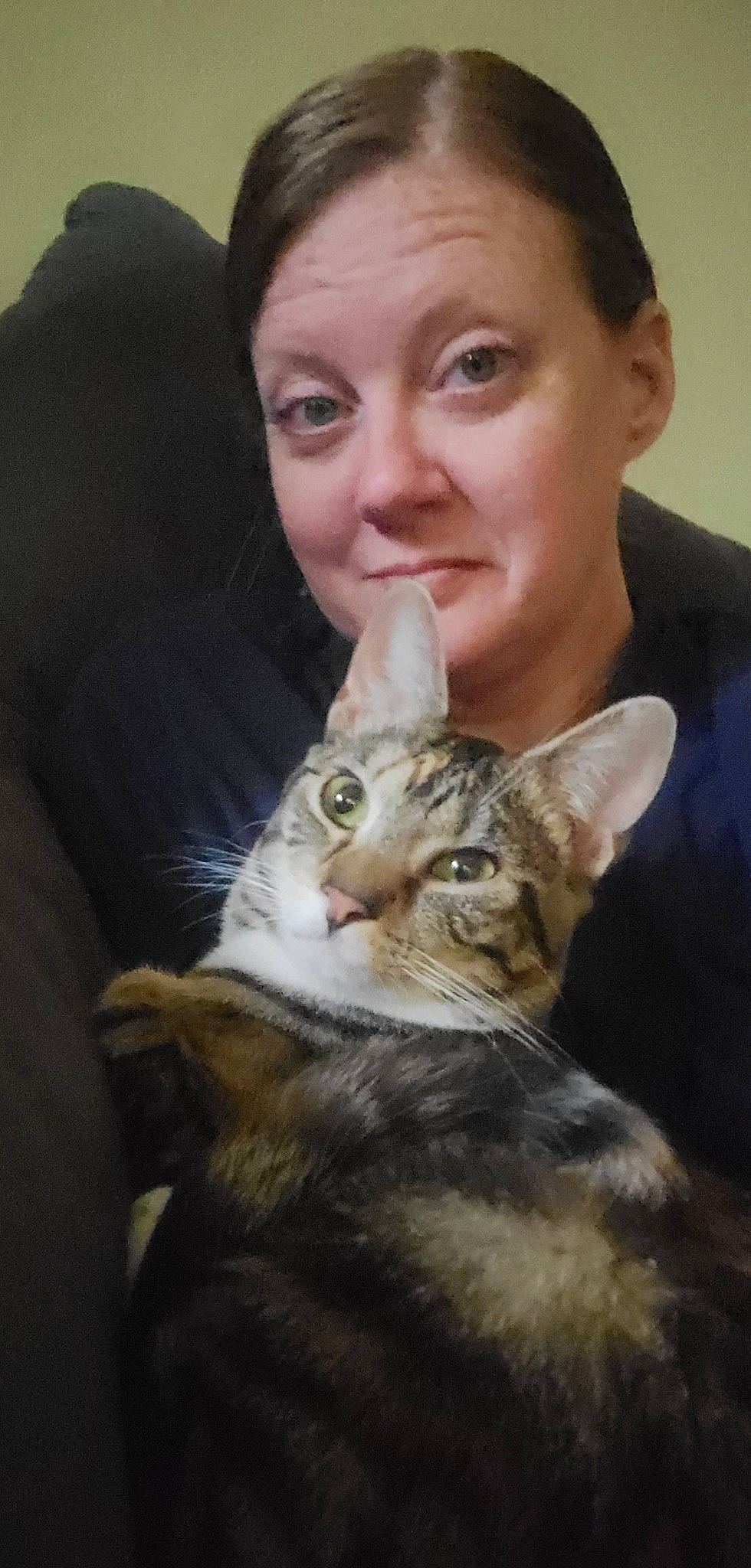 Fiona joined the competition — help win amazing prizes! carnivore, cat, comfort, couch, domestic_short_haired_cat, ear, face, felidae, formal_wear, fur, gesture, head, mammal, organ, sitting, small_to_medium_sized_cats, snout, vertebrate, whiskers, wildlife