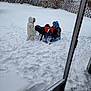 adult, black_dog, child, cold_weather, dog, fence, footprints, gloves, hat, house, outdoor, pet, play, red_toy, snow, snowsuit, snowy_backyard, toy, trees, winter_clothing
