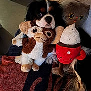 Voyou a rejoint le concours — aidez-le/la à gagner de superbes lots ! animal, black, blanket, brown, companion, cozy, cute, dog, fabric, face, fur, indoor, pattern, pet, plush_toy, red, soft, stuffed_animal, toy, white