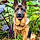 Braco