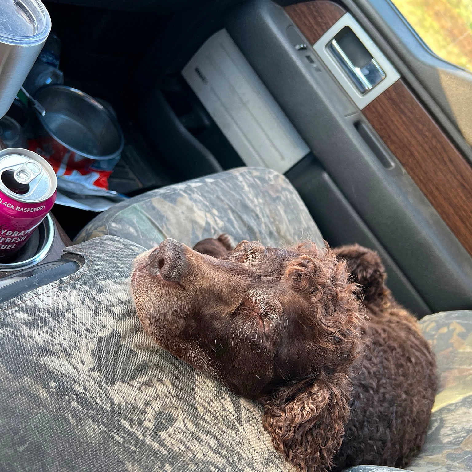 Oakley