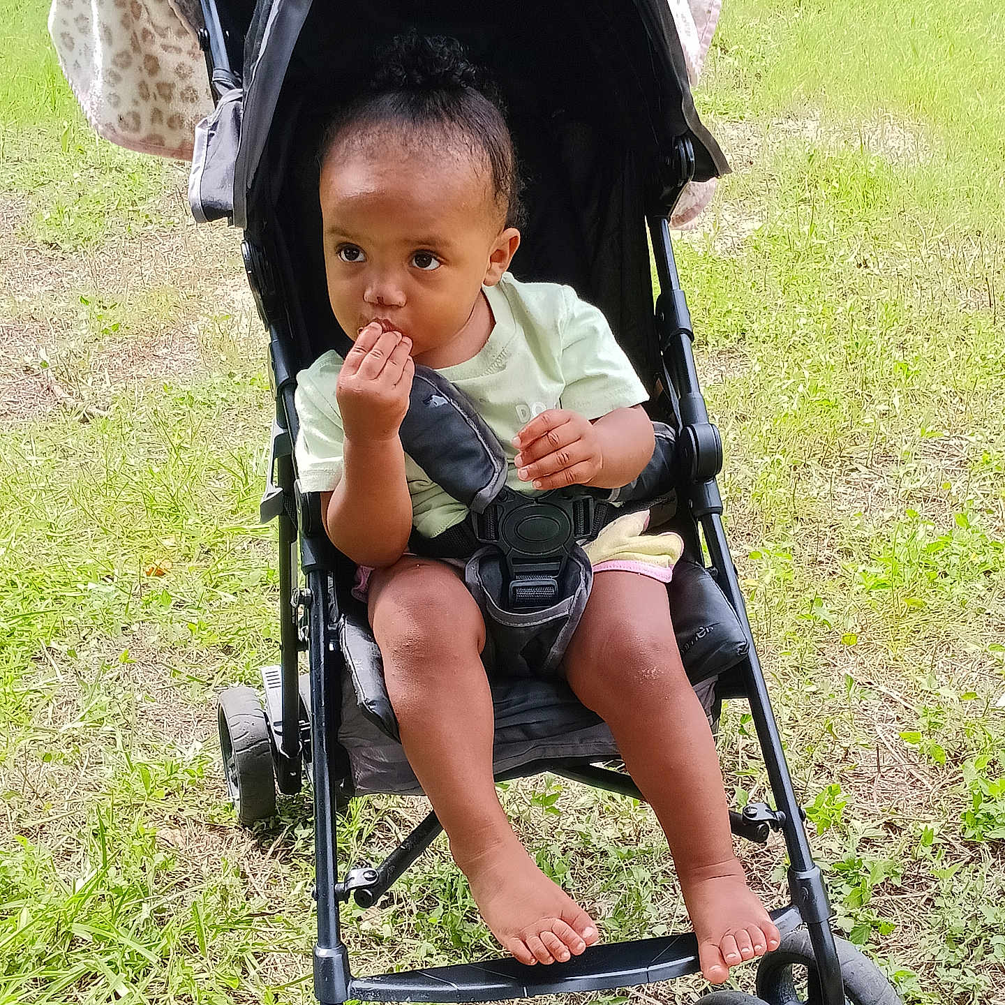Alina Ebanks joined the competition — help win amazing prizes! baby, barefoot, blanket, child, clothing, curly_hair, foot, grass, green, hand, nature, outdoor, park, pensive, seatbelt, sitting, stroller, sunlight, toddler, wheel