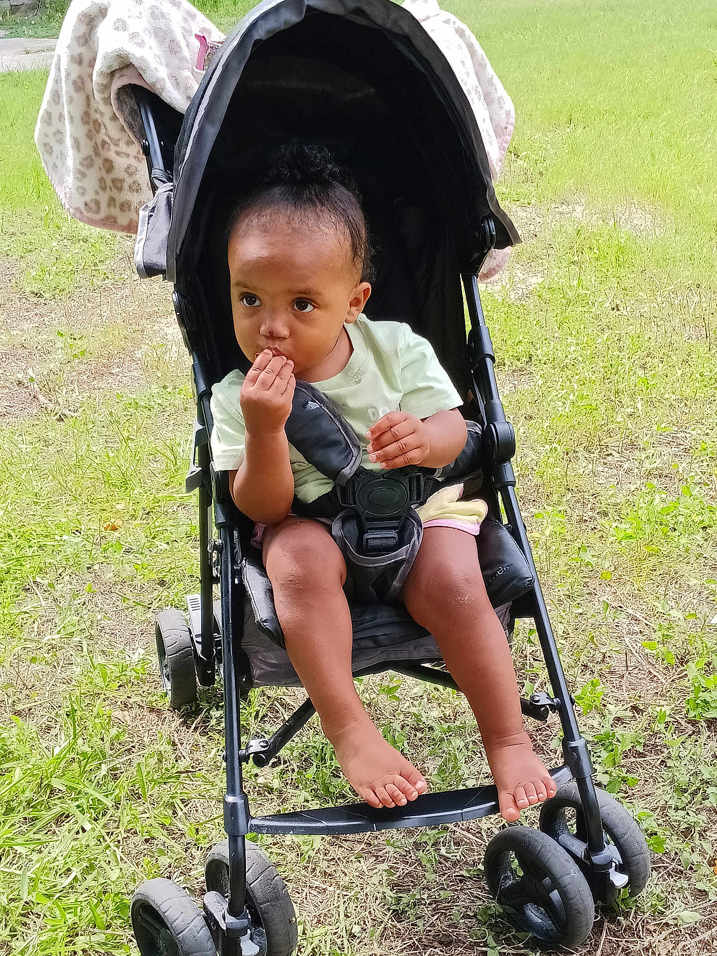Alina Ebanks joined the competition — help win amazing prizes! toddler, stroller, outdoor, grass, child, baby, blanket, wheel, foot, hand, curly_hair, green, nature, seatbelt, clothing, barefoot, pensive, sitting, park, sunlight