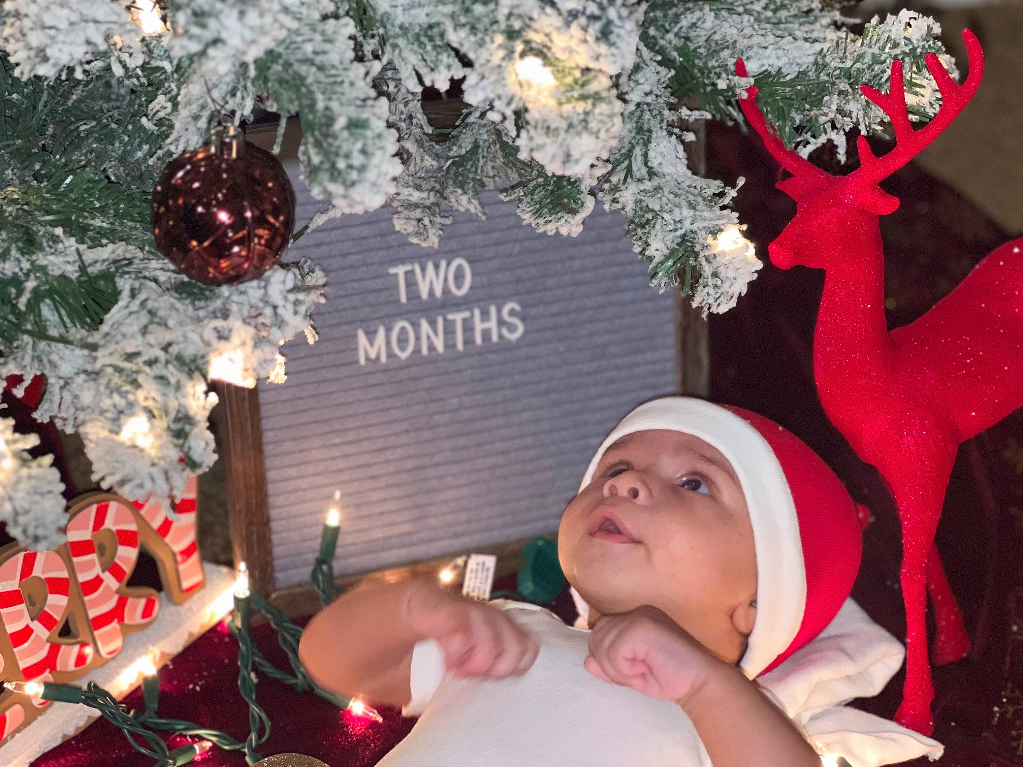 Zayden joined the competition — help win amazing prizes! baby, christmas, christmas_decoration, christmas_eve, christmas_ornament, design, event, font, happy, headwear, holiday, holiday_ornament, interior_design, lighting, ornament, person, pink, plant, red, toddler