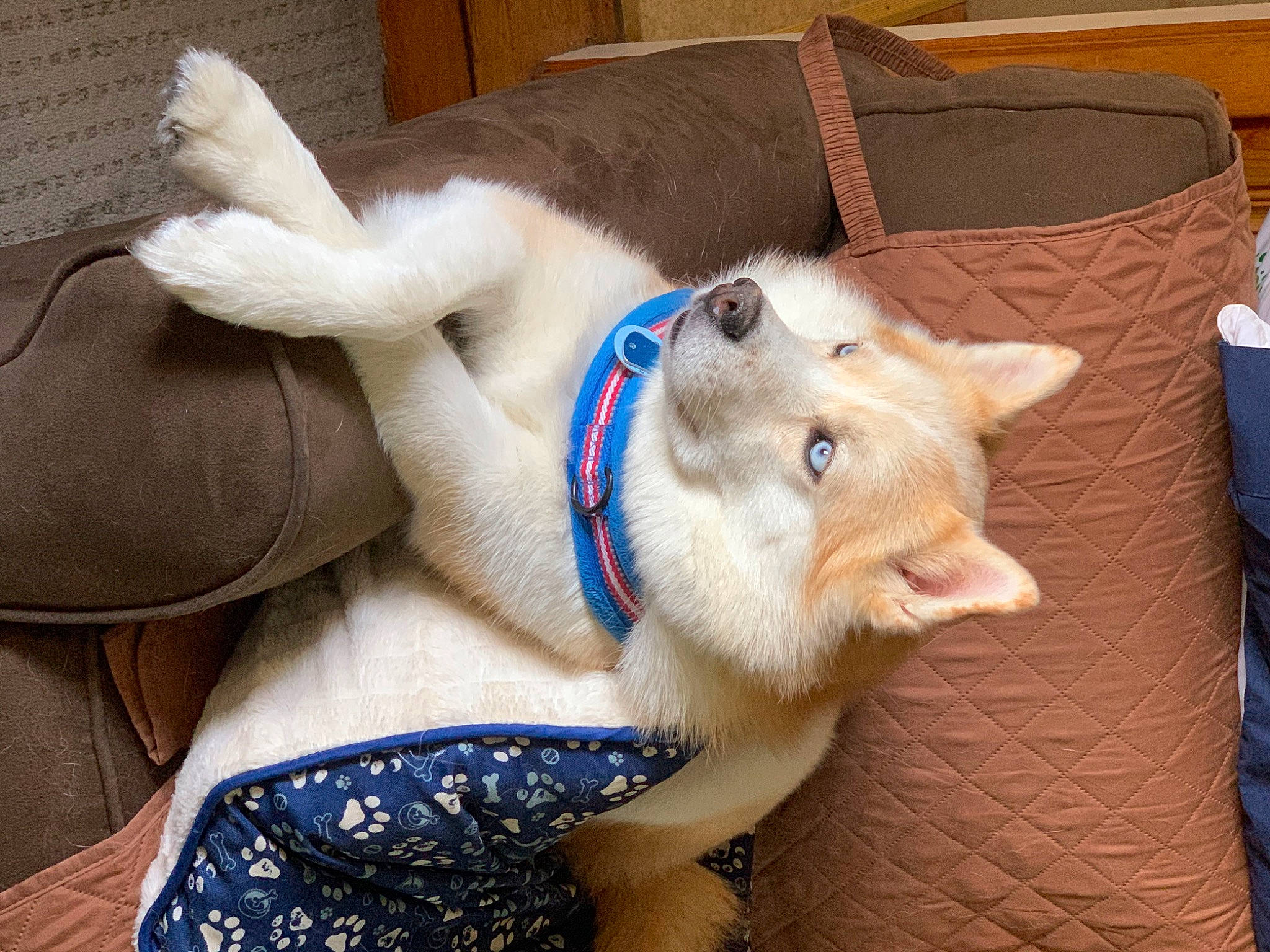 Astro