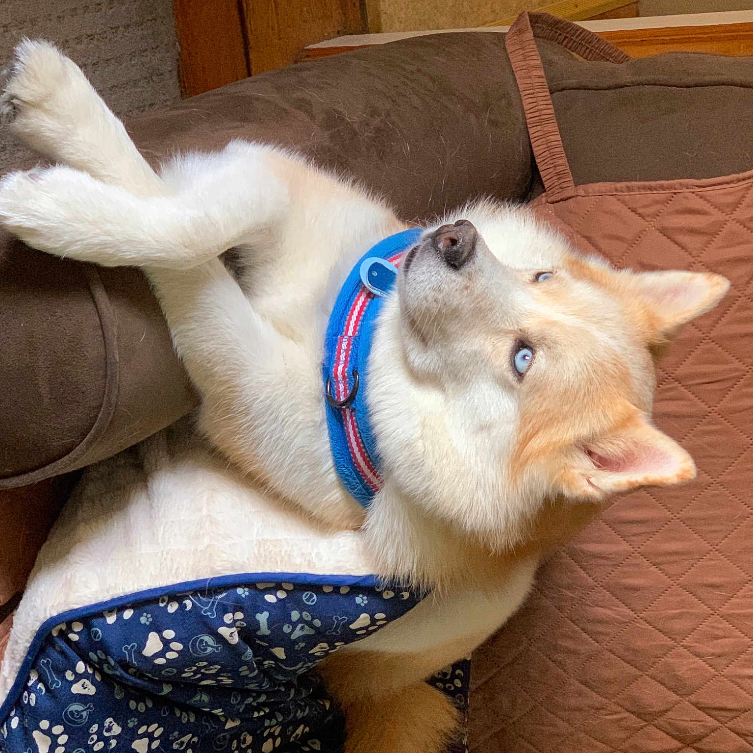 Astro
