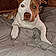 Waylon