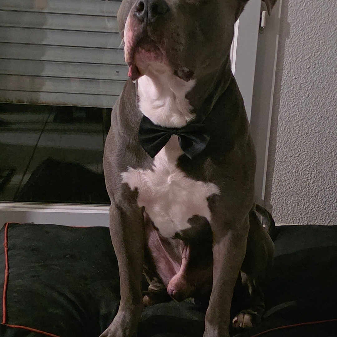 Ragnar